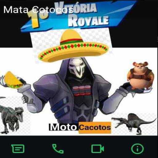 MATACOTOCOS