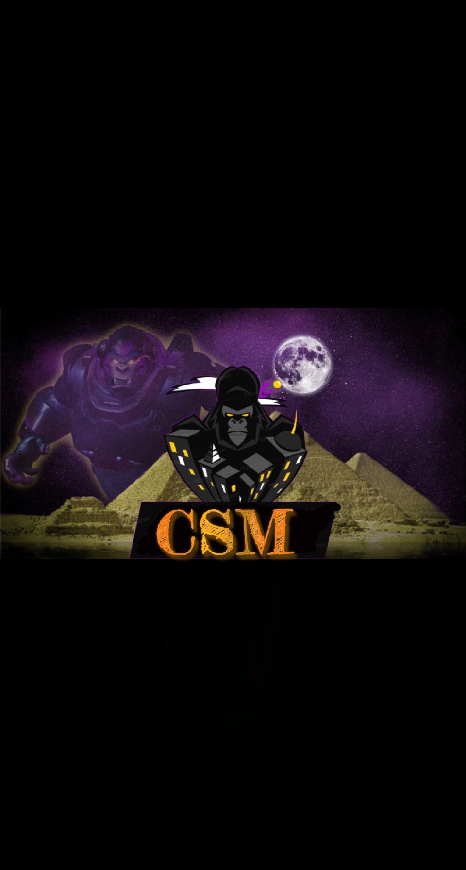 CSM