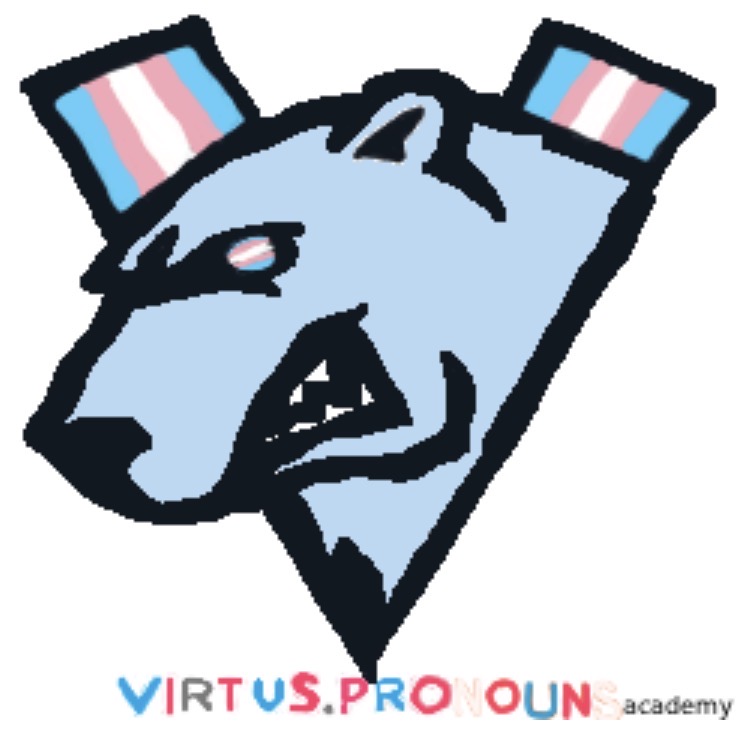 Virtus Pronouns