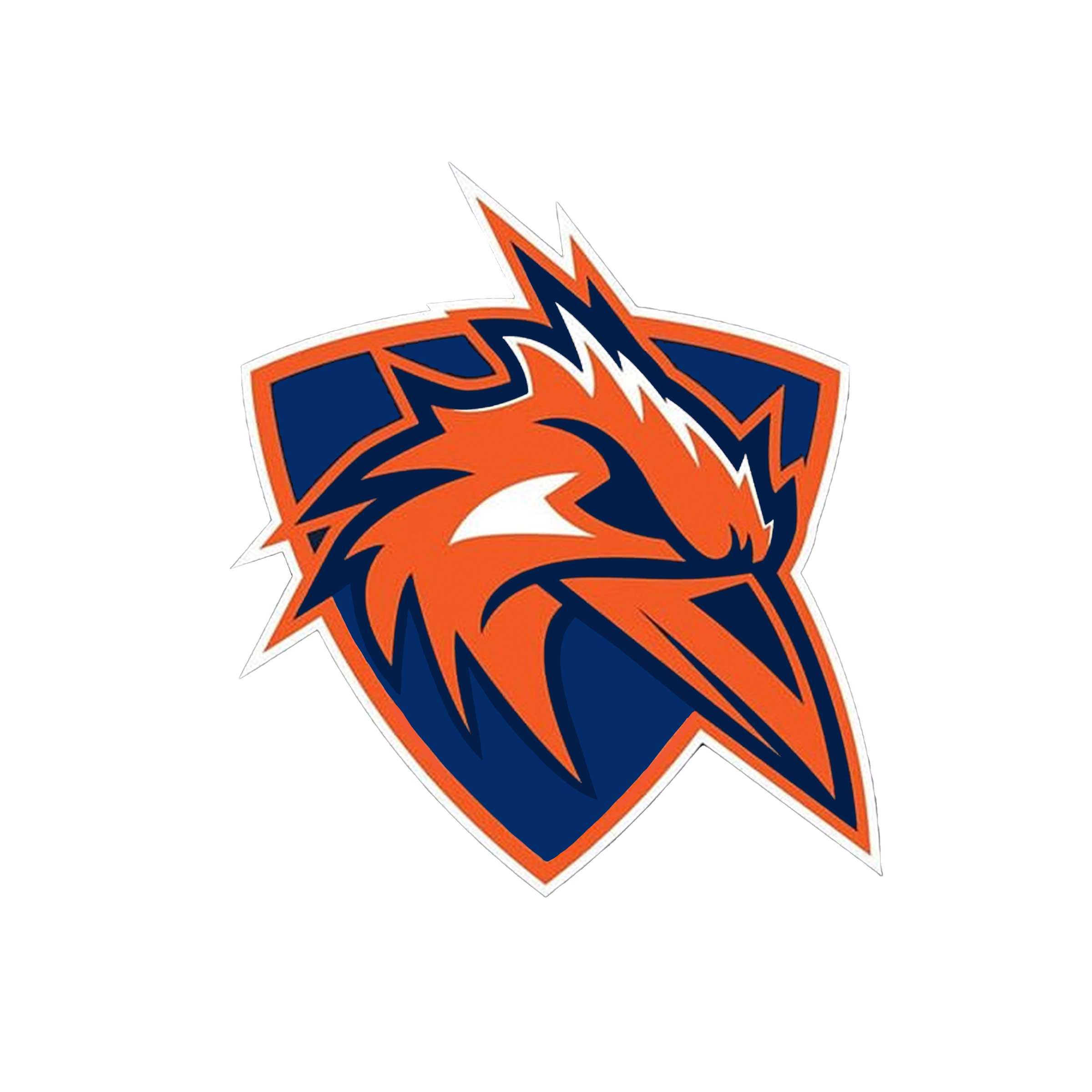 RoadRunner Gaming