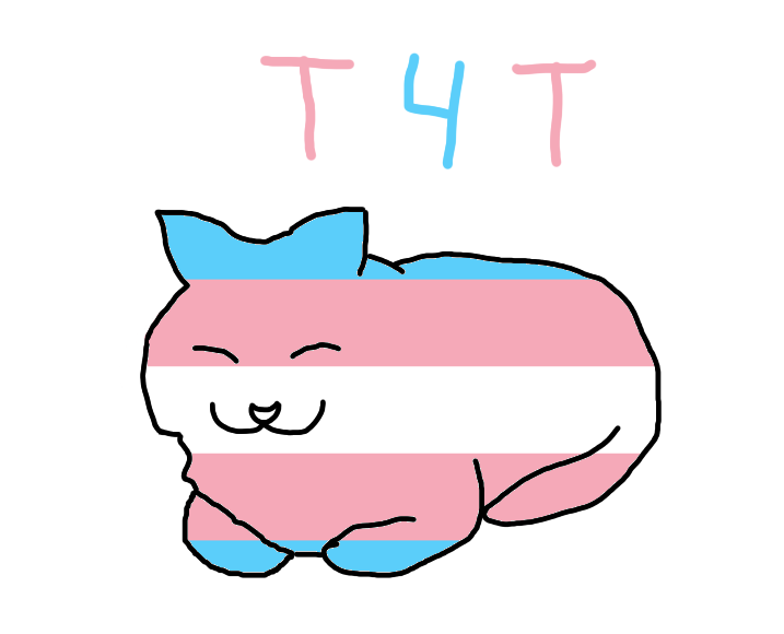 T4T