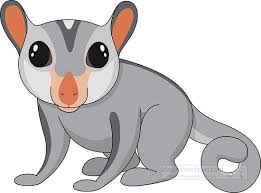 Marsupial Madness