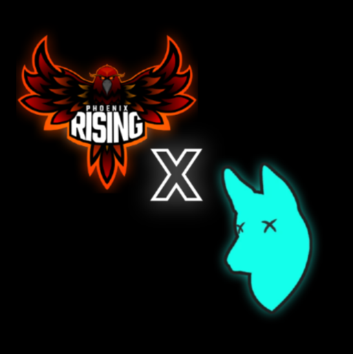 Phoenix x XK9