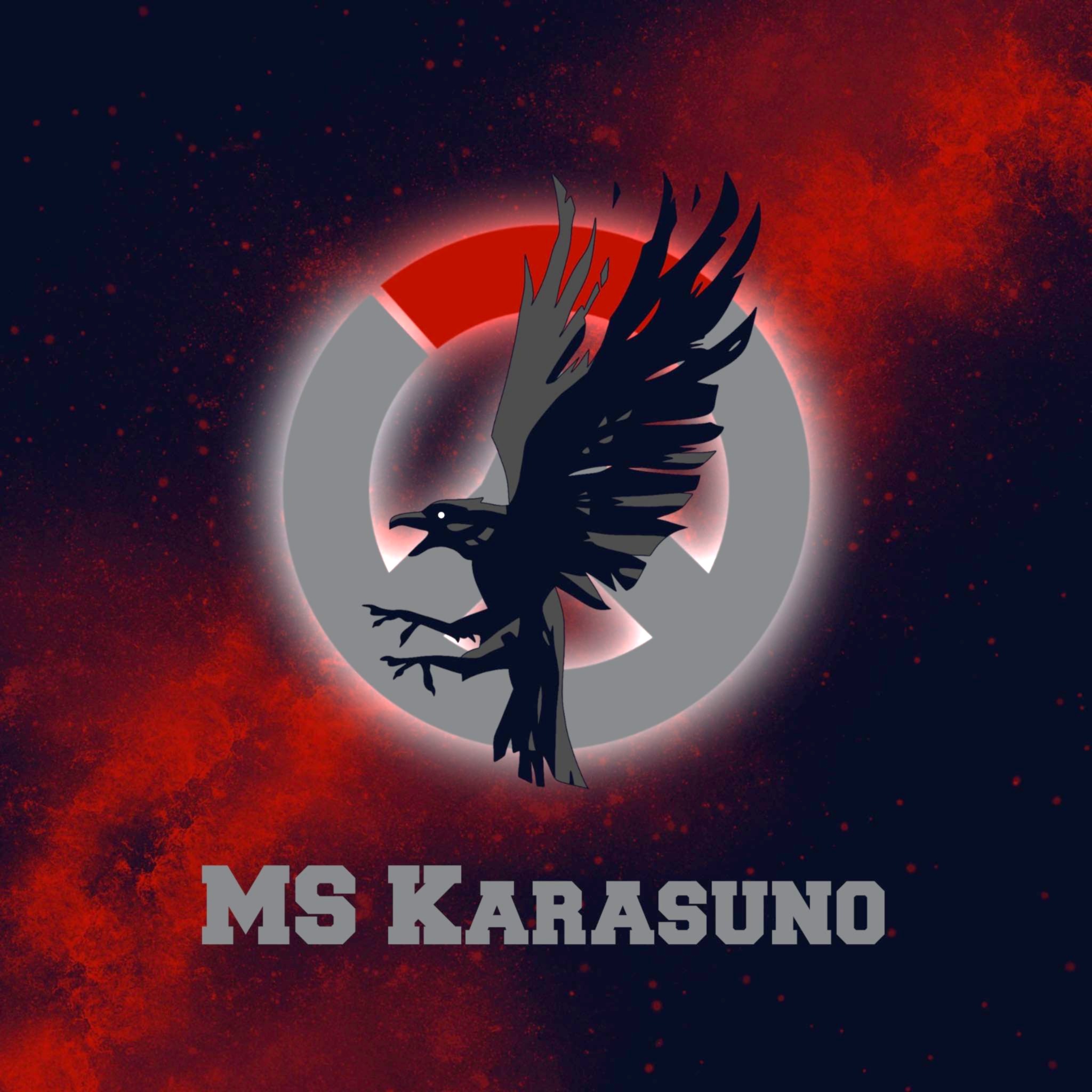 MS Karasuno