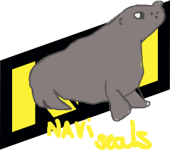 NAVI SEALS