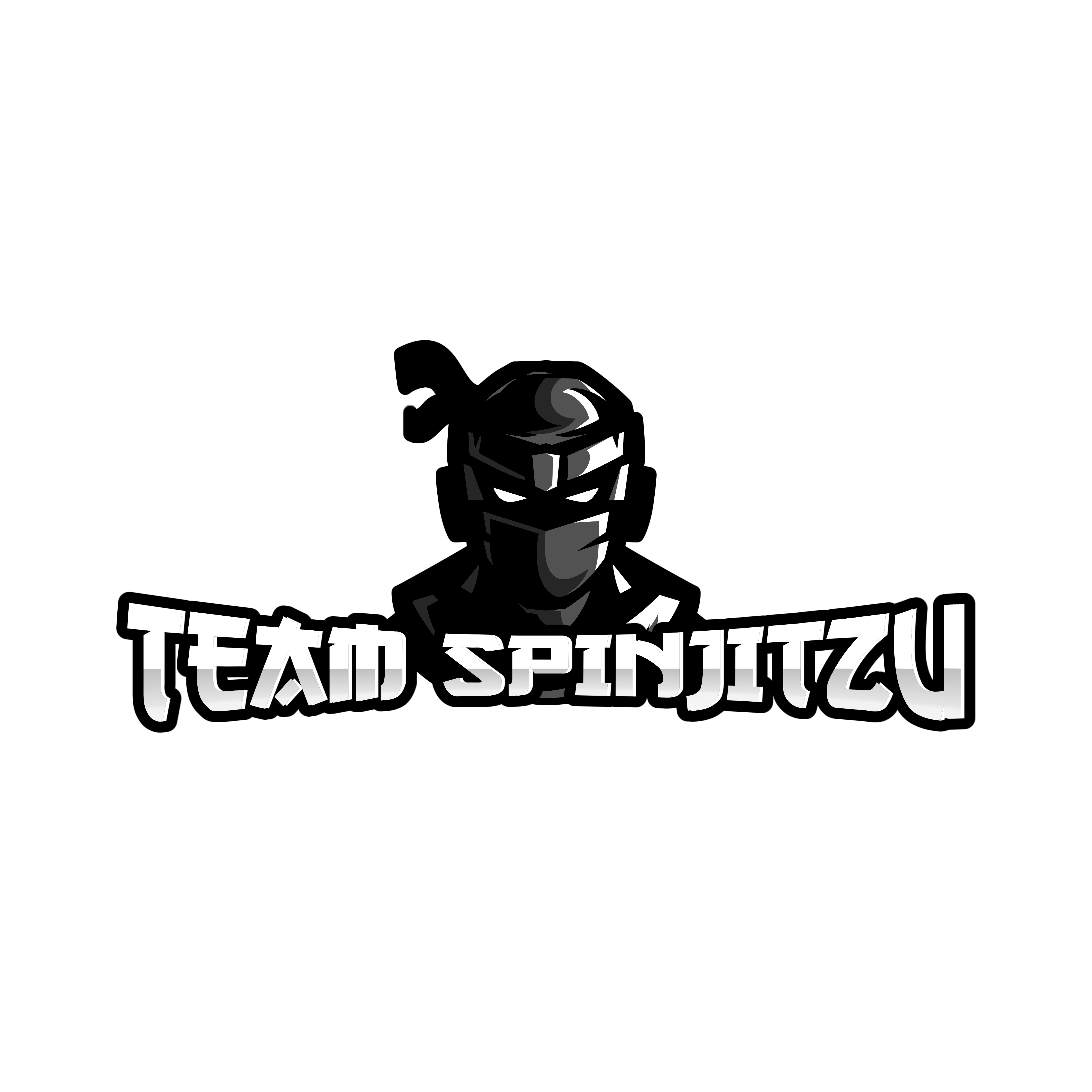 Team Spinjitzu